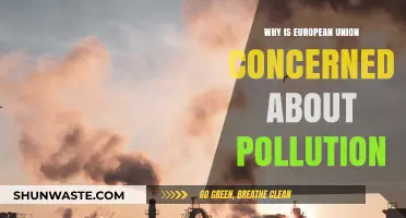 EU's Pollution Crisis: Why the European Union is Alarmed