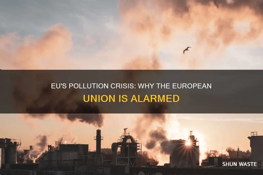 why is european union concerned about pollution