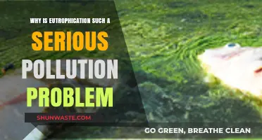 Eutrophication Crisis: Unraveling the Devastating Impact on Ecosystems and Water Quality