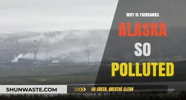 Fairbanks, Alaska's Pollution Crisis: Causes and Consequences Explained