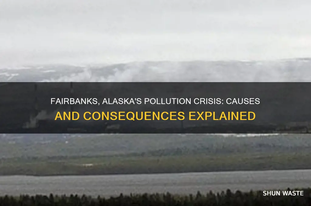 why is fairbanks alaska so polluted