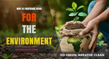 Fairtrade's Eco-Impact: Sustainable Practices for a Greener Planet