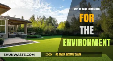 The Hidden Environmental Costs of Artificial Turf: A Green Illusion