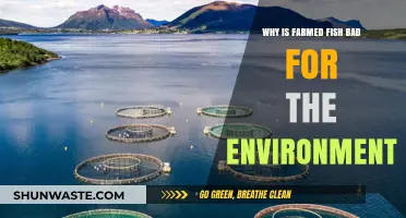 Farmed Fish Environmental Impact: Uncovering the Hidden Ecological Costs