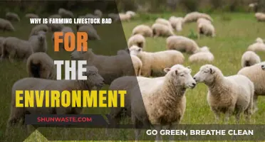 Livestock Farming's Environmental Impact: A Growing Concern for Our Planet