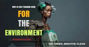 Fast Fashion's Surprising Eco-Friendly Benefits: A Sustainable Perspective