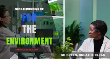 Fermentation's Hidden Costs: Environmental Impacts and Sustainability Challenges