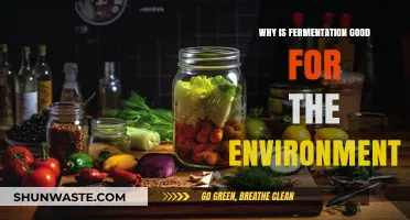Fermentation's Eco-Friendly Impact: Sustainable Food Practices for a Greener Planet
