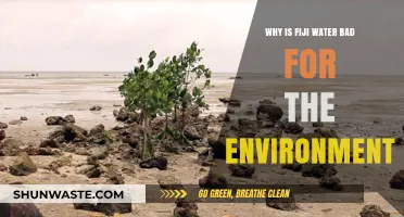 Fiji Water's Environmental Impact: Unsustainable Practices and Ecological Consequences