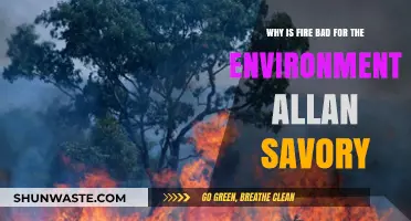 Allan Savory's Perspective: Fire's Environmental Impact and Ecosystem Harm