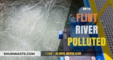 Flint River Pollution Crisis: Causes, Impacts, and Urgent Solutions