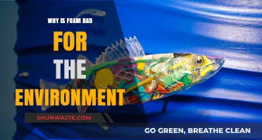 Foam's Environmental Impact: Pollution, Wildlife Threats, and Sustainability Challenges