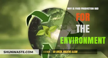 Food Production's Environmental Impact: Uncovering the Hidden Costs of Our Meals