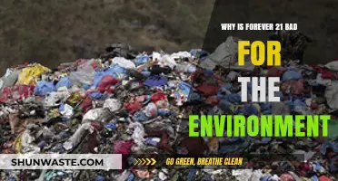 Forever 21's Environmental Impact: Fast Fashion's Hidden Ecological Costs
