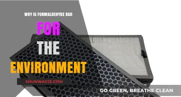 Formaldehyde's Environmental Impact: Harmful Effects and Sustainable Alternatives
