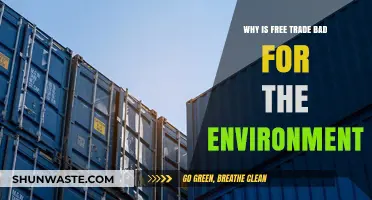 Free Trade's Environmental Toll: Uncovering the Hidden Ecological Costs