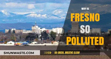 Fresno's Air Quality Crisis: Causes and Consequences of Pollution