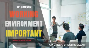 Fostering Collaboration: The Importance of a Friendly Working Environment