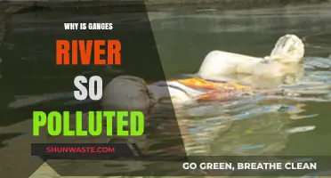 The Ganges: A Polluted Sacred River