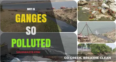 The Ganges Crisis: Unraveling the Causes of Its Severe Pollution