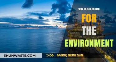 The Environmental Impact of Gas: Harmful Effects and Sustainable Alternatives