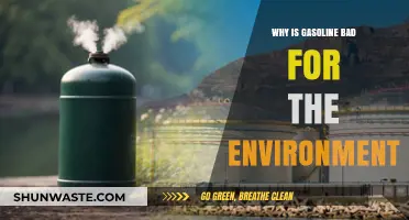 Gasoline's Environmental Impact: Pollution, Climate Change, and Ecosystem Destruction