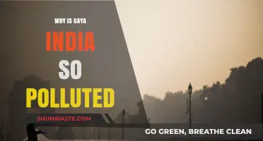 Gaya's Pollution Crisis: Uncovering the Causes and Consequences in India