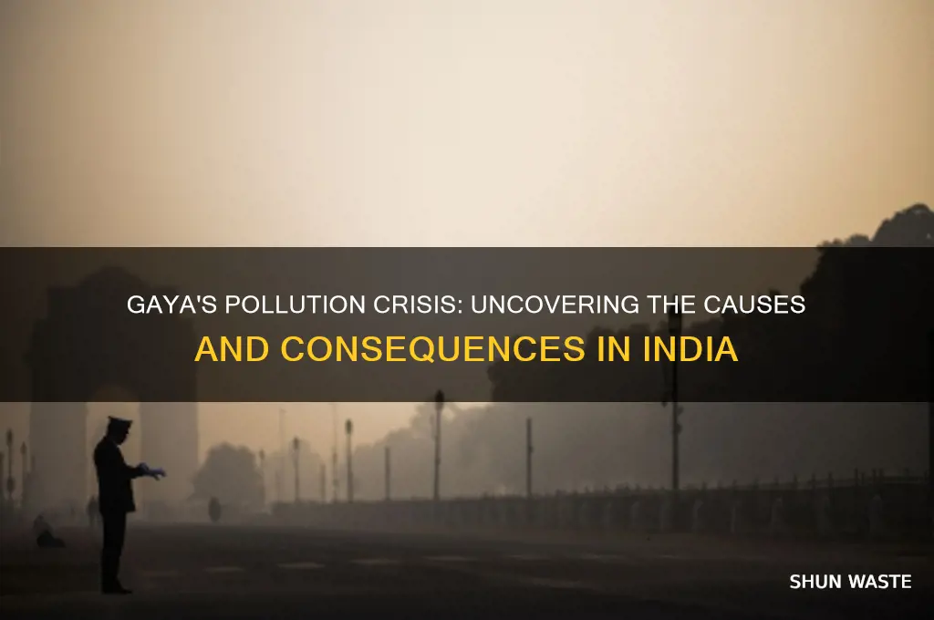 why is gaya india so polluted