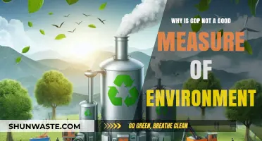 GDP's Green Gap: Why Economic Growth Ignores Environmental Costs