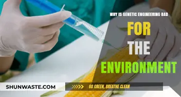 Genetic Engineering's Environmental Impact: Risks, Consequences, and Ecosystem Disruption