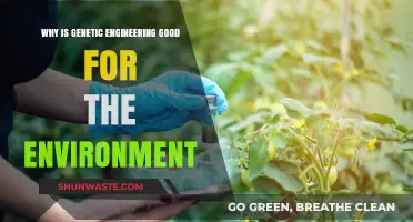 Genetic Engineering: A Sustainable Solution for Environmental Challenges