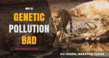 Genetic Pollution's Harmful Impact: Understanding the Risks to Ecosystems