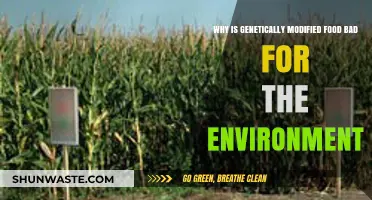 Genetically Modified Foods: Environmental Risks and Ecological Consequences Explained