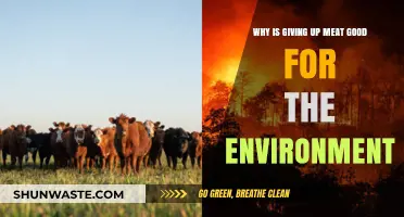 Ditching Meat: A Powerful Step Towards a Greener Planet