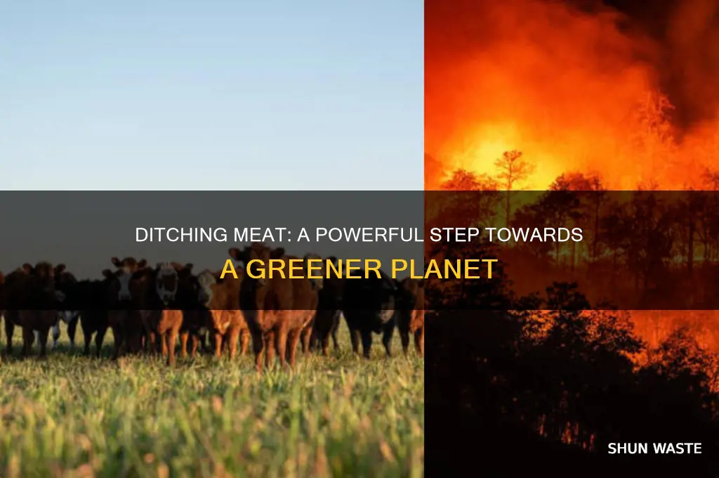 why is giving up meat good for the environment