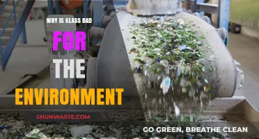 Glass's Environmental Impact: Uncovering Its Hidden Ecological Footprint
