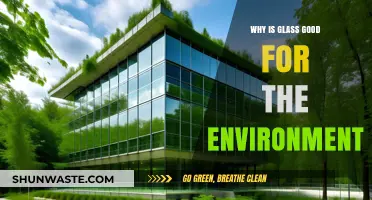 Glass: The Eco-Friendly Choice for a Sustainable Future