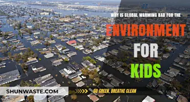 Global Warming's Harmful Effects on Our Planet for Kids