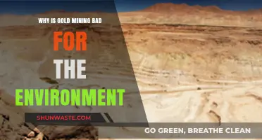 Gold Mining's Devastating Environmental Impact: Destruction, Pollution, and Ecosystem Loss