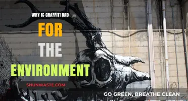 Graffiti's Hidden Environmental Impact: Pollution, Waste, and Ecosystem Damage