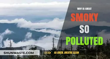 Why the Great Smoky Mountains Struggle with Persistent Air Pollution