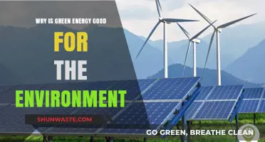 Green Energy Benefits: How It Protects Our Environment and Future