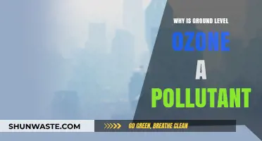 Ground Level Ozone: A Hidden Pollutant Threatening Our Air Quality