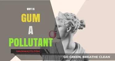Chewing Gum's Sticky Environmental Impact: A Hidden Urban Pollutant