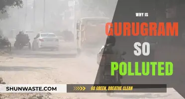 Unbreathable Gurugram: Uncovering the Causes of Its Severe Air Pollution