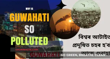 Guwahati's Pollution Crisis: Uncovering the Causes and Consequences