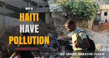 Haiti's Pollution Crisis: Causes, Impacts, and Urgent Solutions Needed