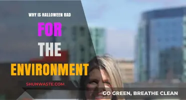 Halloween's Environmental Impact: Unmasking the Eco-Unfriendly Truth