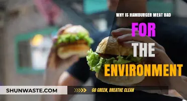 The Environmental Impact of Hamburger Meat: A Sustainable Diet Dilemma