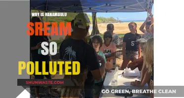 Hanamaulu Stream's Pollution Crisis: Causes and Urgent Solutions Needed